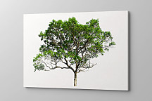 Obraz Strom šťastia 1448